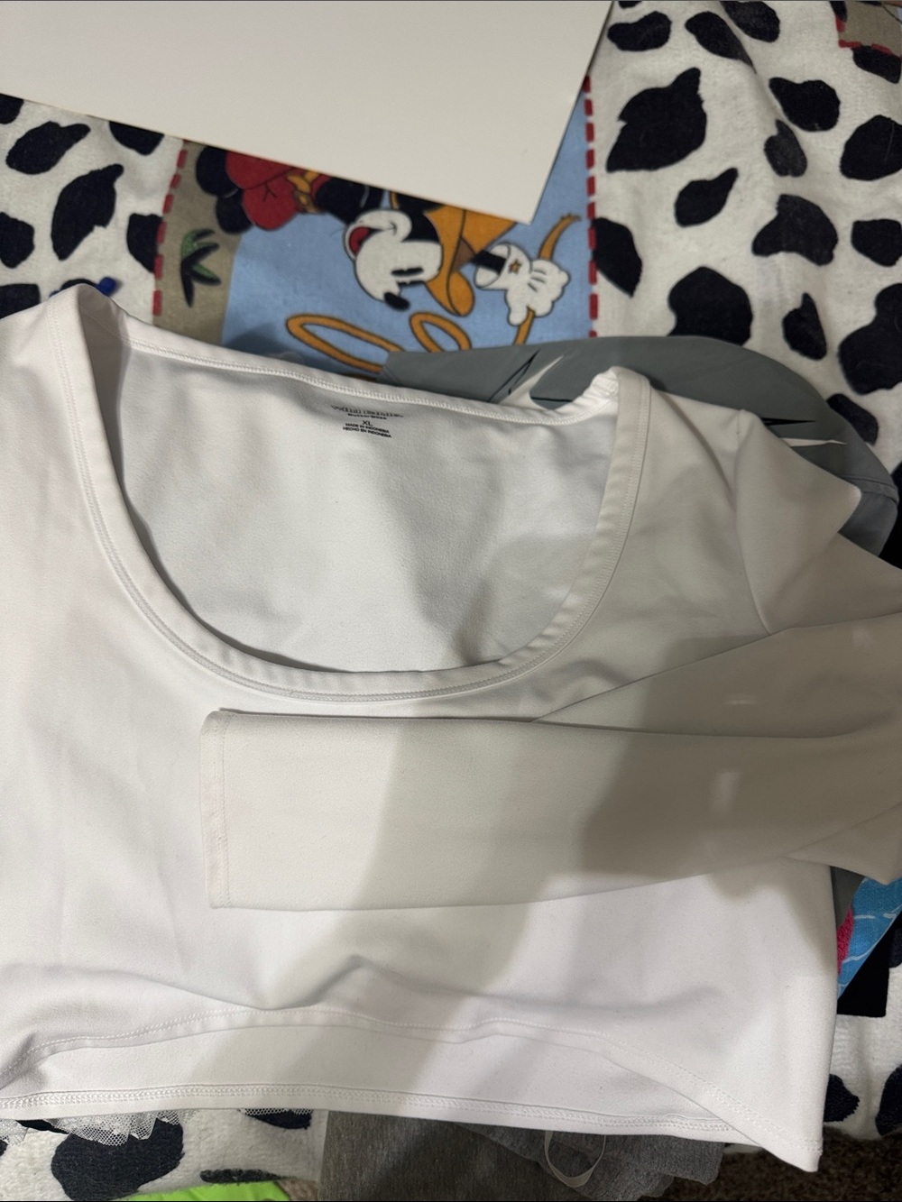 wild fable White Scoop Neck long sleeve Sleeve Top